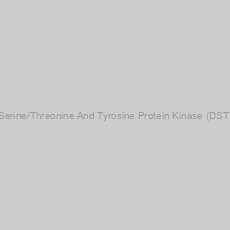 Image of Human Dual Serine/Threonine And Tyrosine Protein Kinase (DSTYK) ELISA Kit